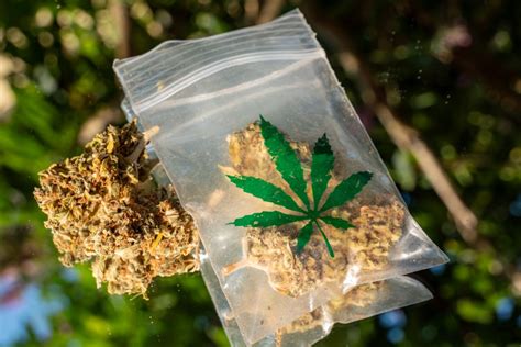 fake cannabis bags mylar
